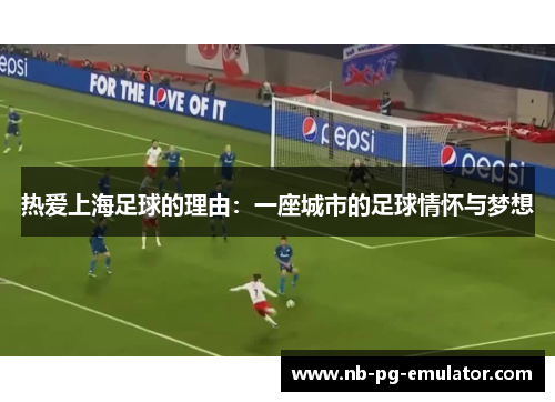 热爱上海足球的理由：一座城市的足球情怀与梦想