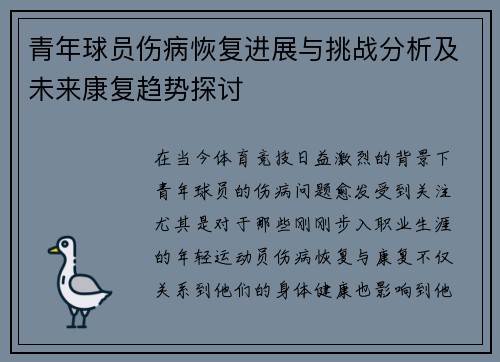 青年球员伤病恢复进展与挑战分析及未来康复趋势探讨